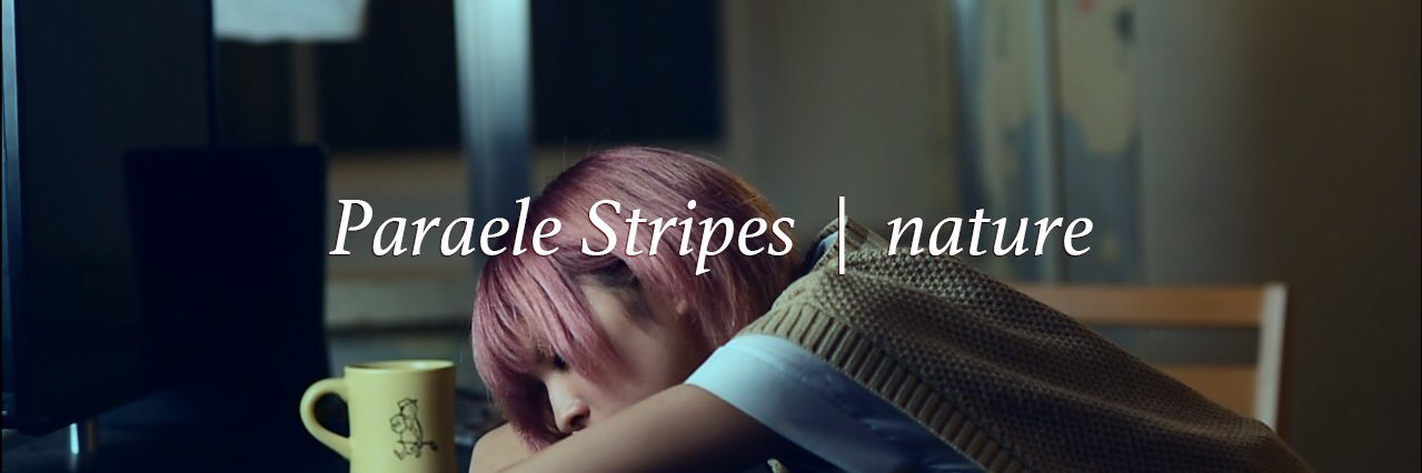 Mars*ParaeleStripes* banner