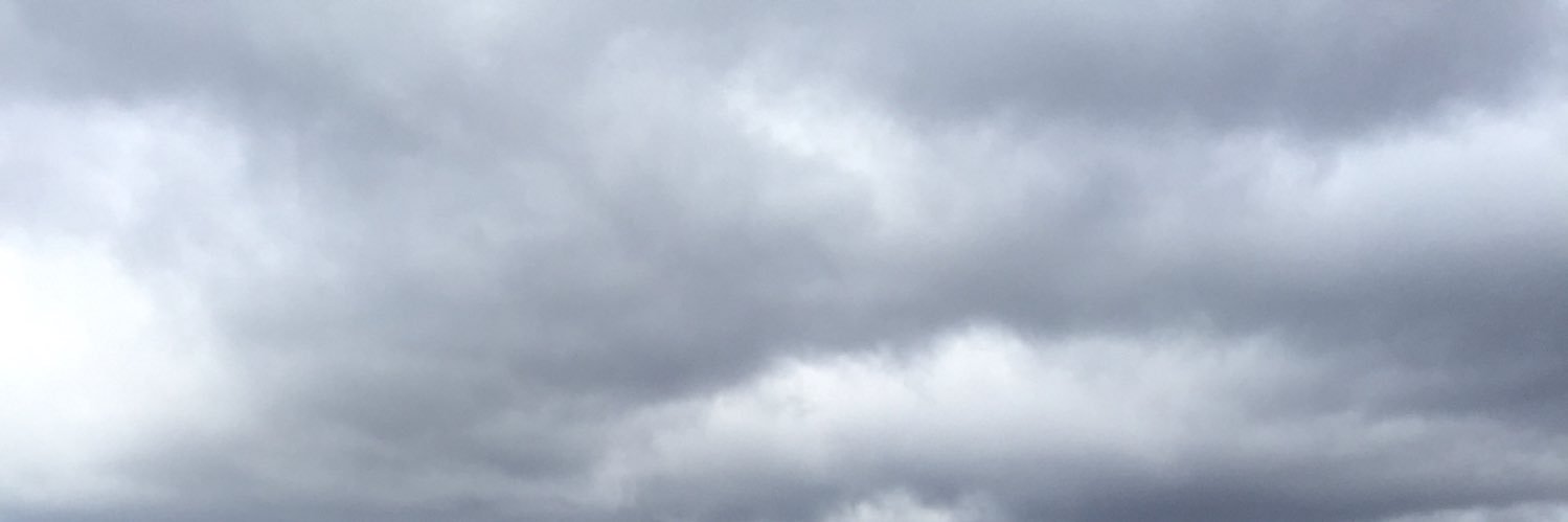 Karen banner