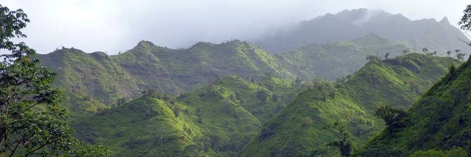 The Perron Group at MIT banner