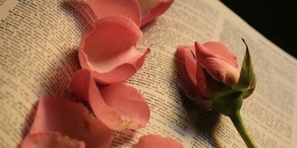 lightpink4's profile banner image