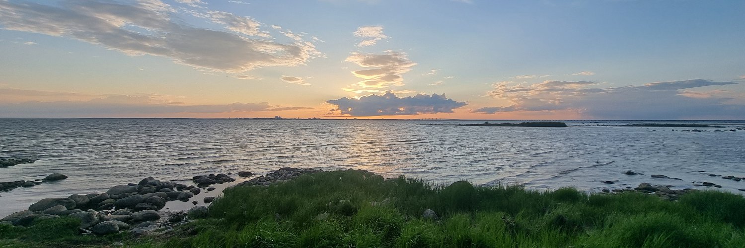 Niklas Agevik banner