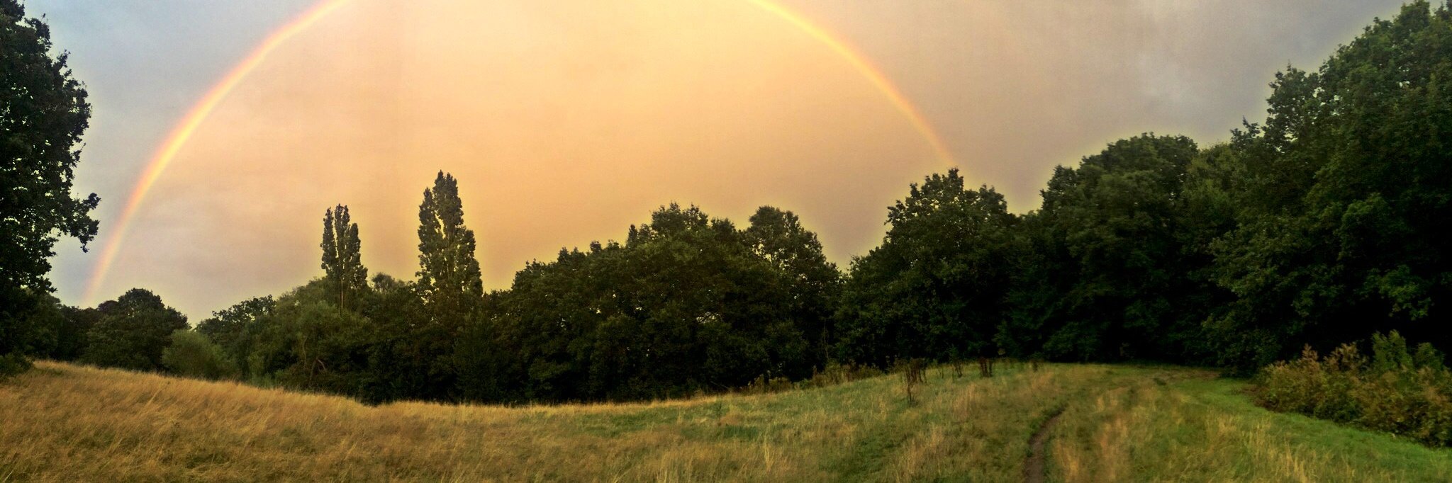 Rebecca Promitzer banner