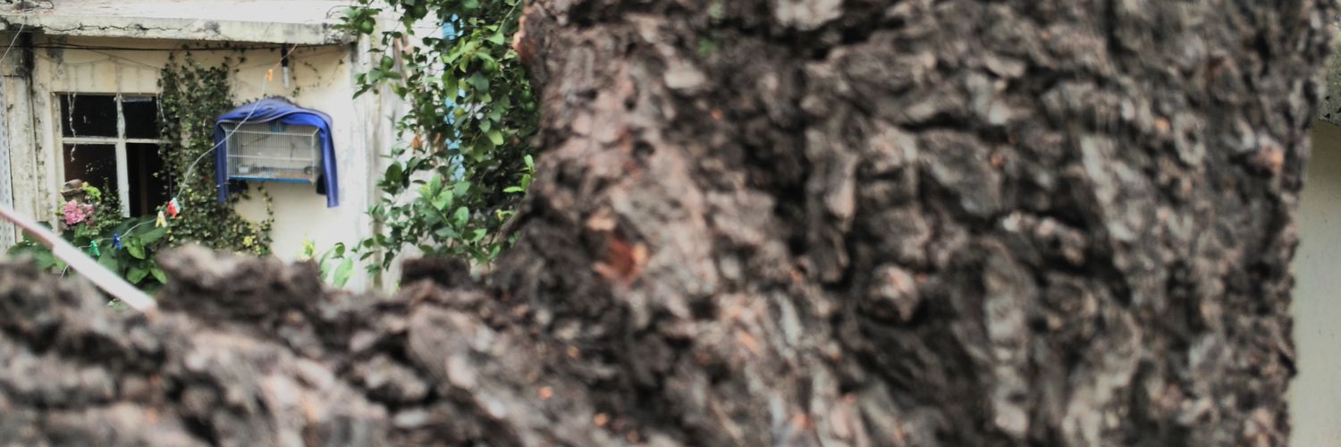 Addi Xion González banner