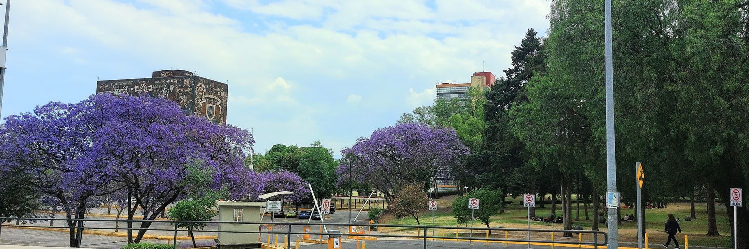 e augusto sandoval g banner