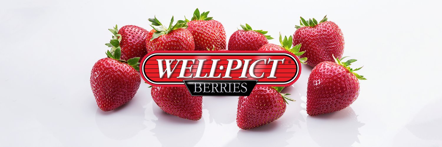 wellpictberries's profile banner image