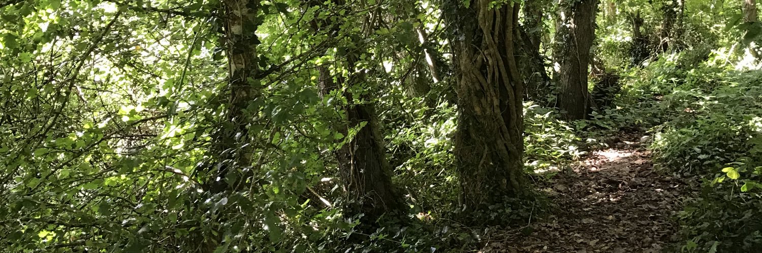 Featherspell's profile banner image