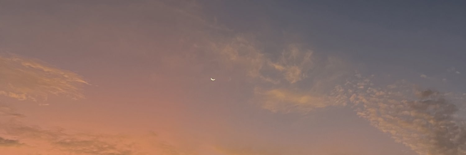 MargotChaplet's profile banner image