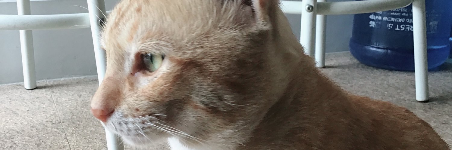 marktintinnnn's profile banner image