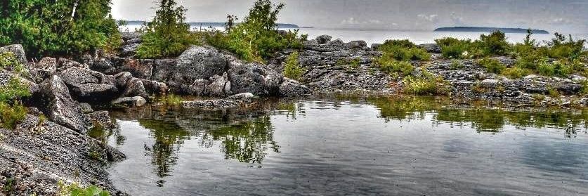profwitiger's profile banner image