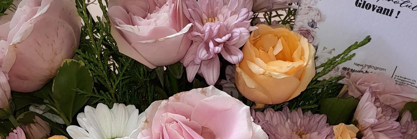 hellofaann's profile banner image