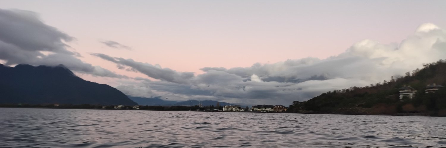 InesSofiaLP's profile banner image