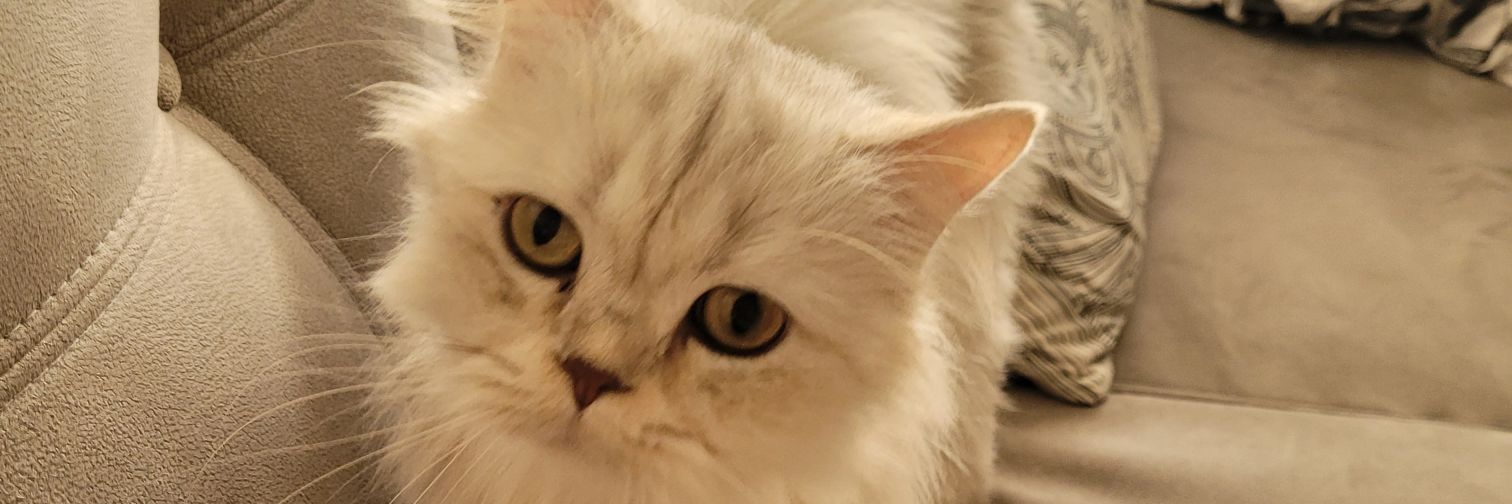 mayak215's profile banner image