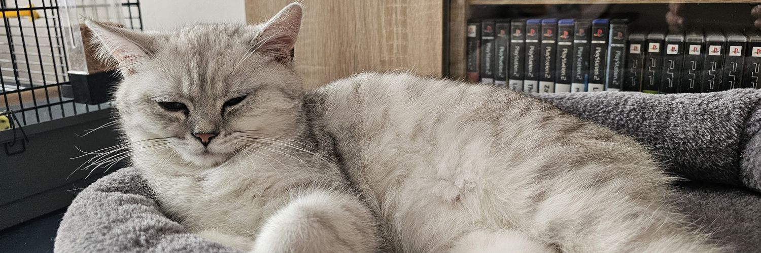 Valkion_'s profile banner image