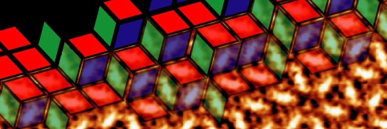 Neil Champness banner