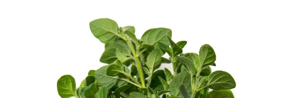 crops_future Profile Banner