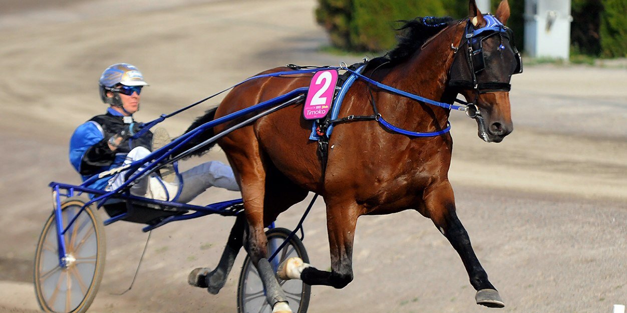 lherete jean yves banner