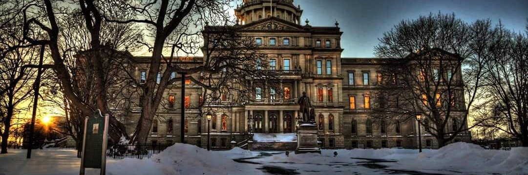 Senator Lana Theis banner