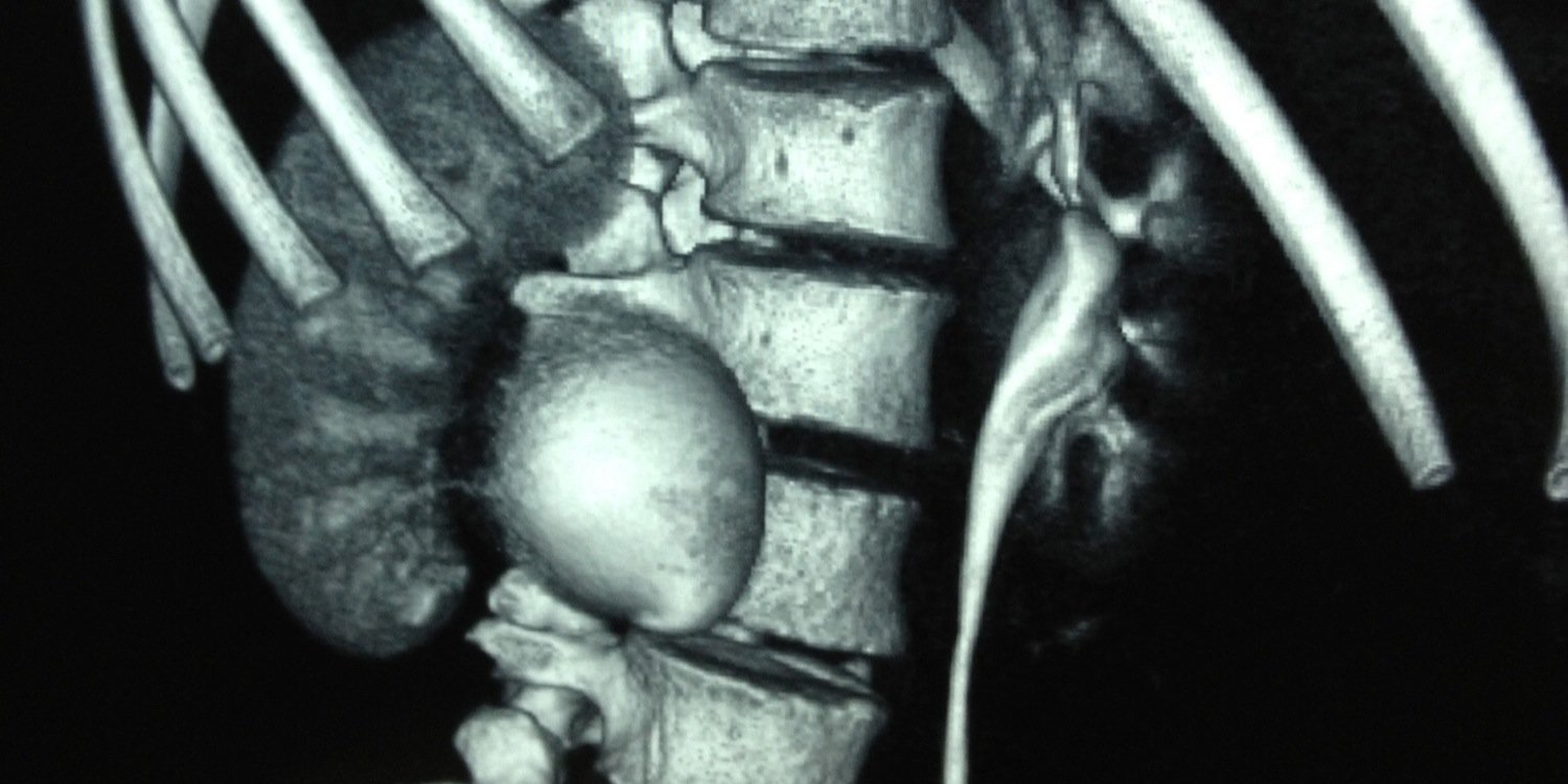 Urologia's profile banner image