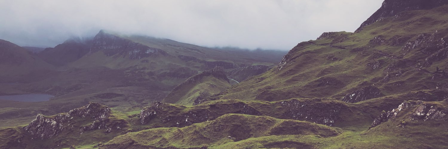 CylaPanin's profile banner image