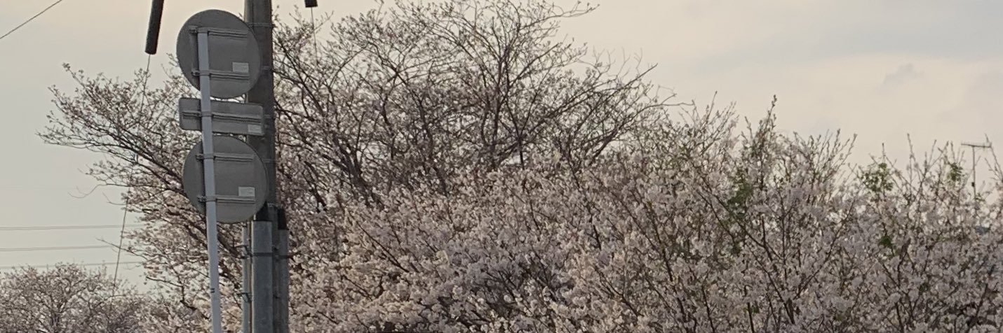 2eGyMfRyPNeSTke's profile banner image