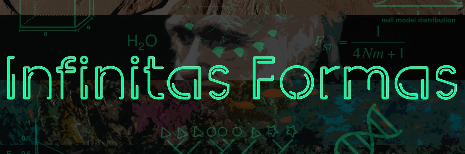 João's banner