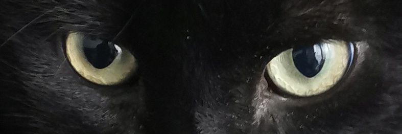 marcotin12's profile banner image