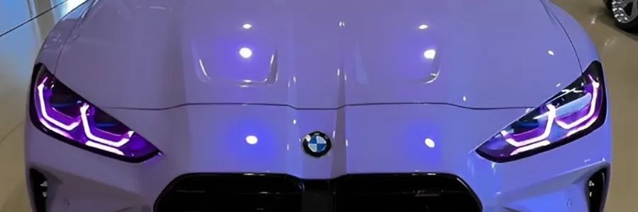 Elizabeth Harvey banner