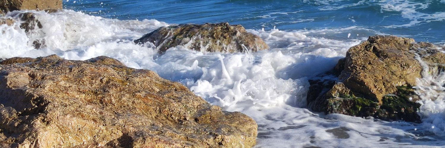 jroviram's profile banner image