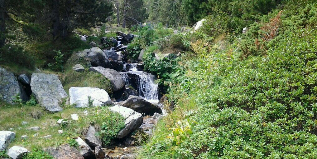 Montserrat Pagès banner