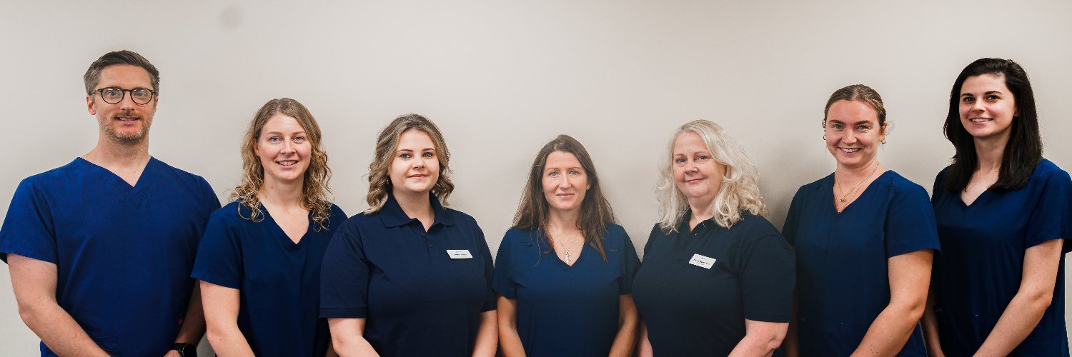 Back in Shape Chiropractic banner