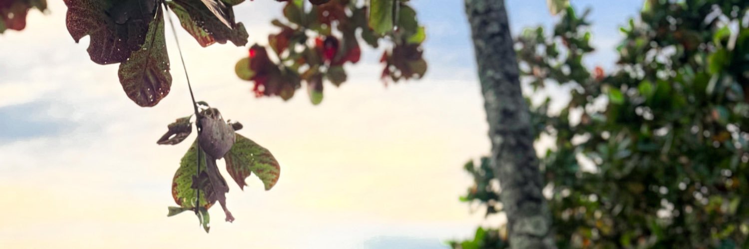 cooxta's profile banner image