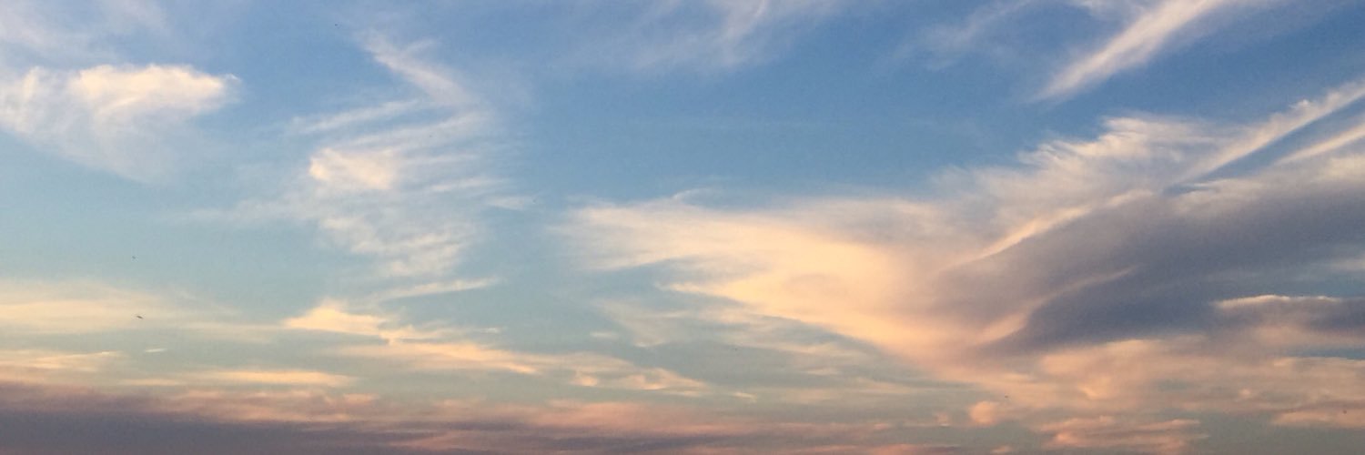 wightgull's profile banner image