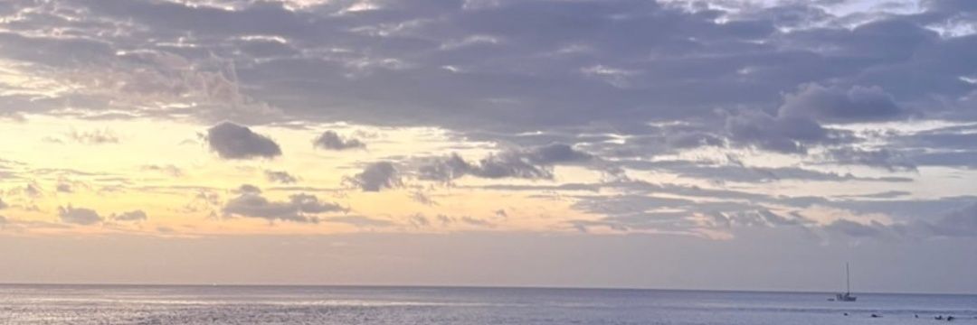 idolsrayban's profile banner image
