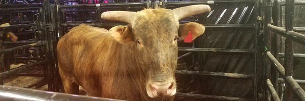 afuzzie Profile Banner