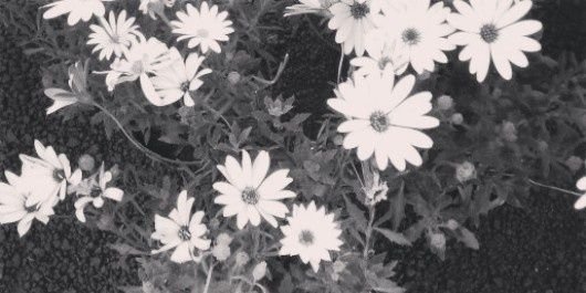 AimeeMoras's profile banner image