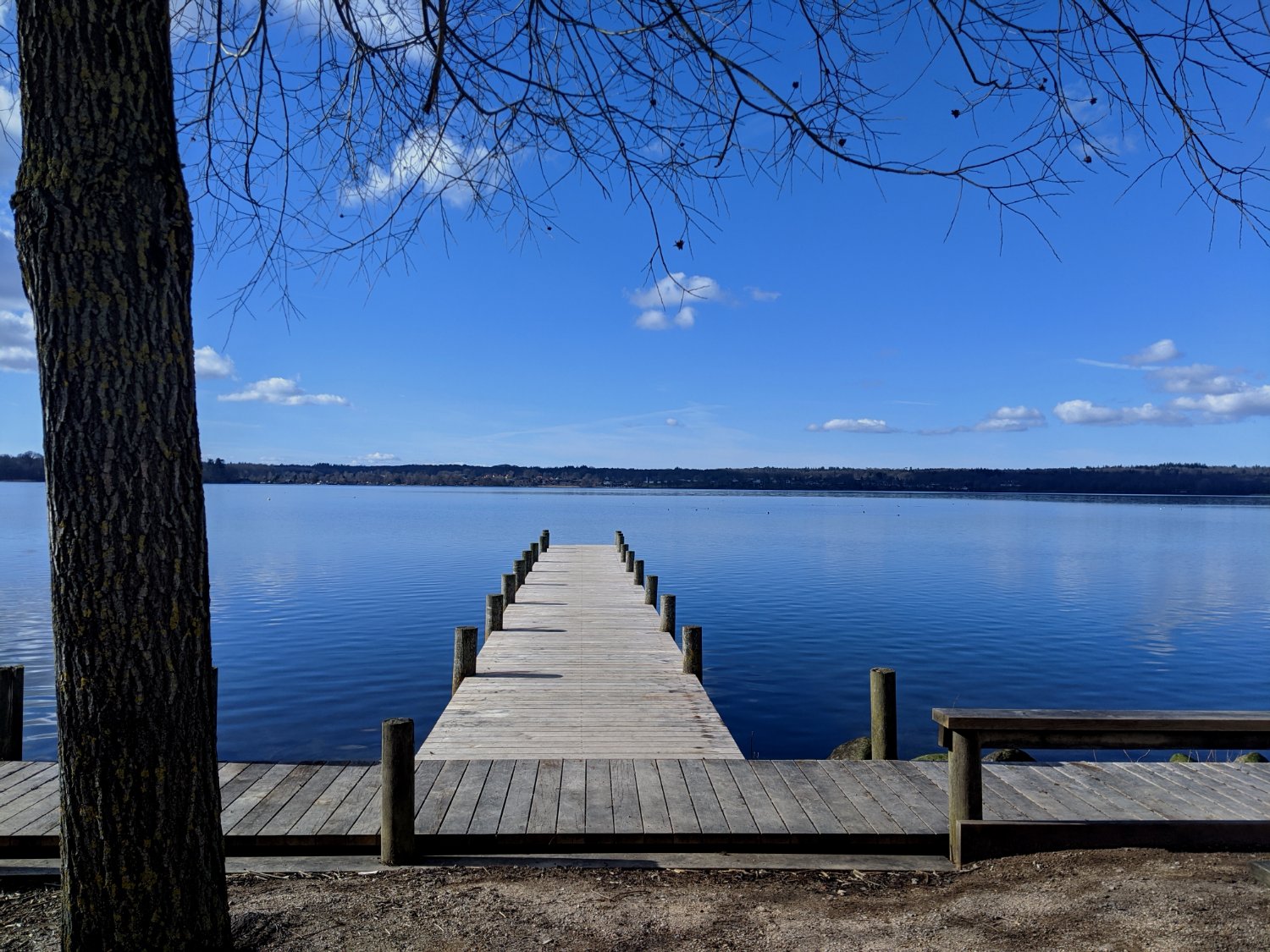 Simon Houstoun banner