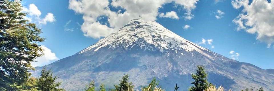 DanielaAuroraFG's profile banner image