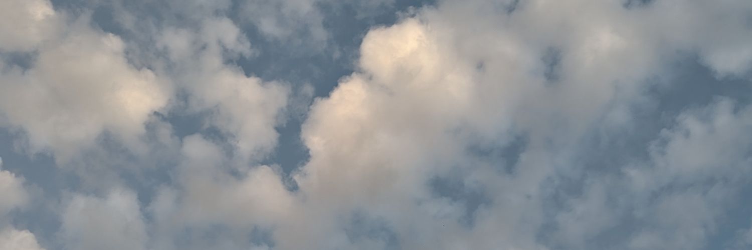 AldiFassetta's profile banner image