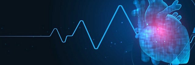 Fulye Argunhan banner