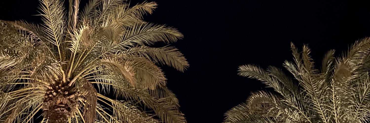 ananee25's profile banner image