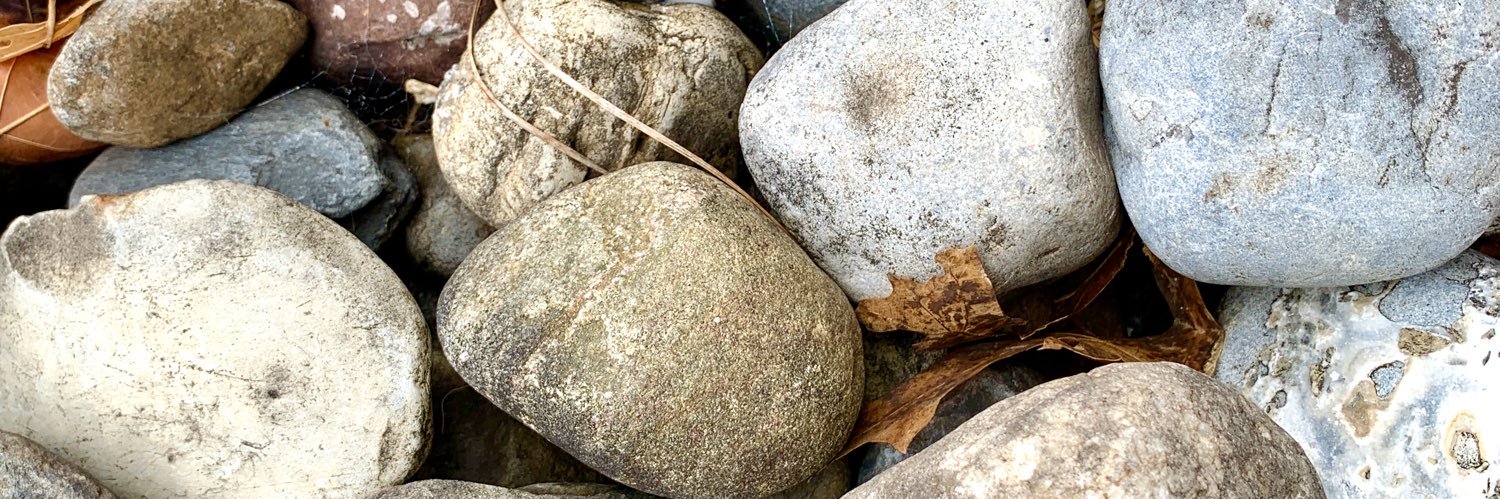 Enjoying those brief moments... banner