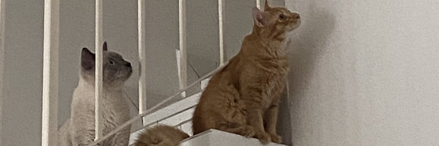 adifaidz's profile banner image