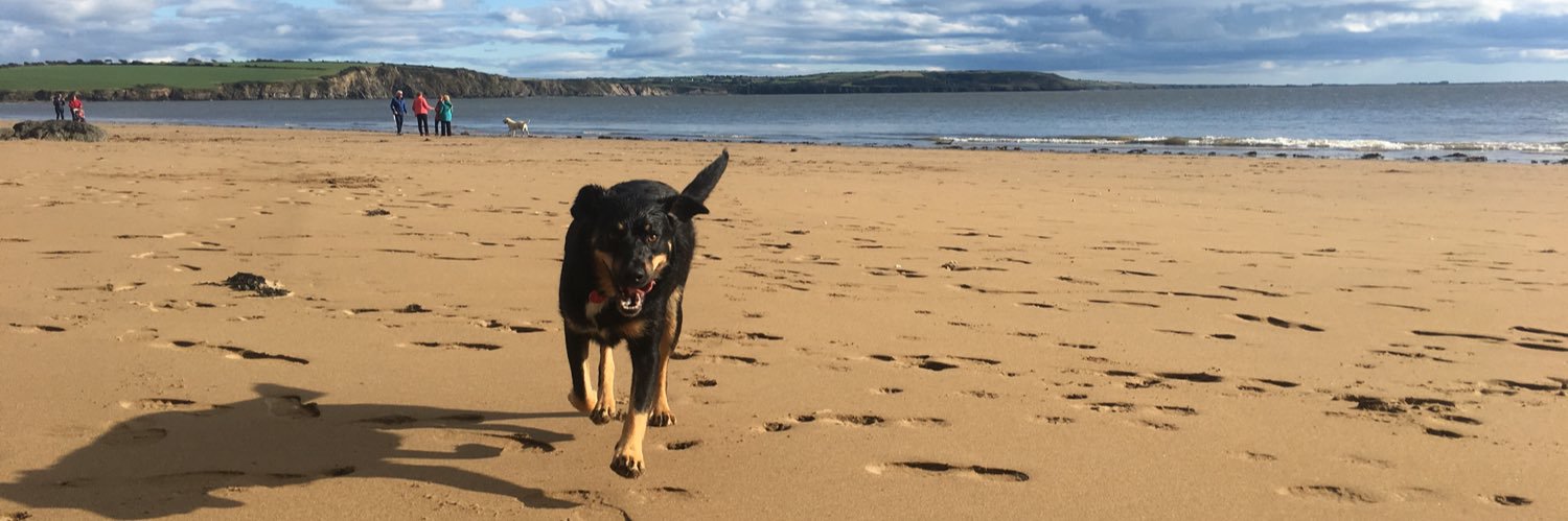 goggleboxwatch's profile banner image