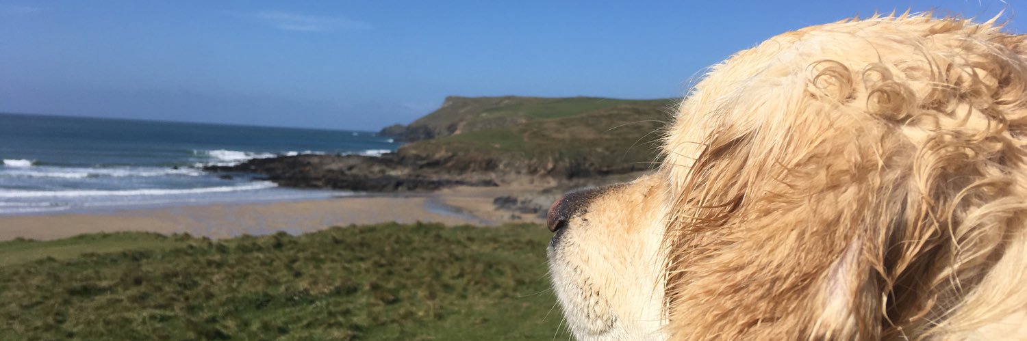SearchCornwall's profile banner image