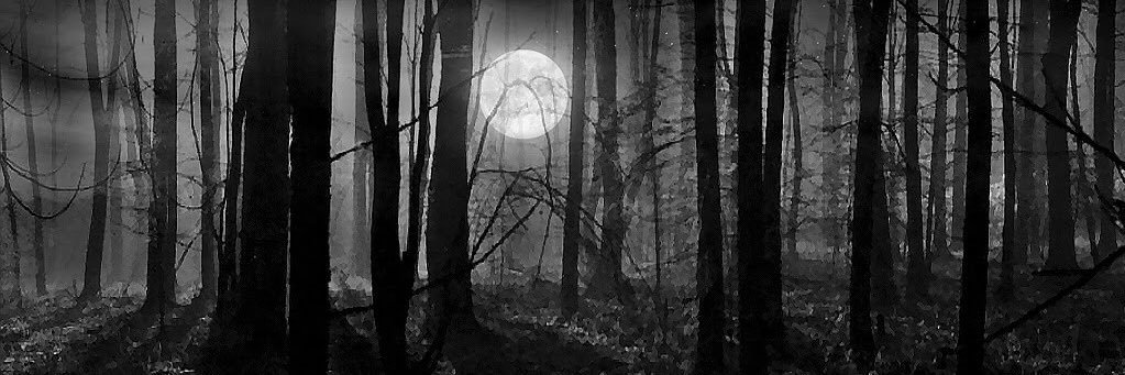 Darck1Wolf's profile banner image