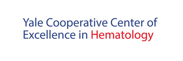 YaleCCEH Profile Banner