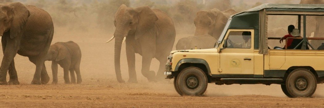 WildTimesSafari's profile banner image