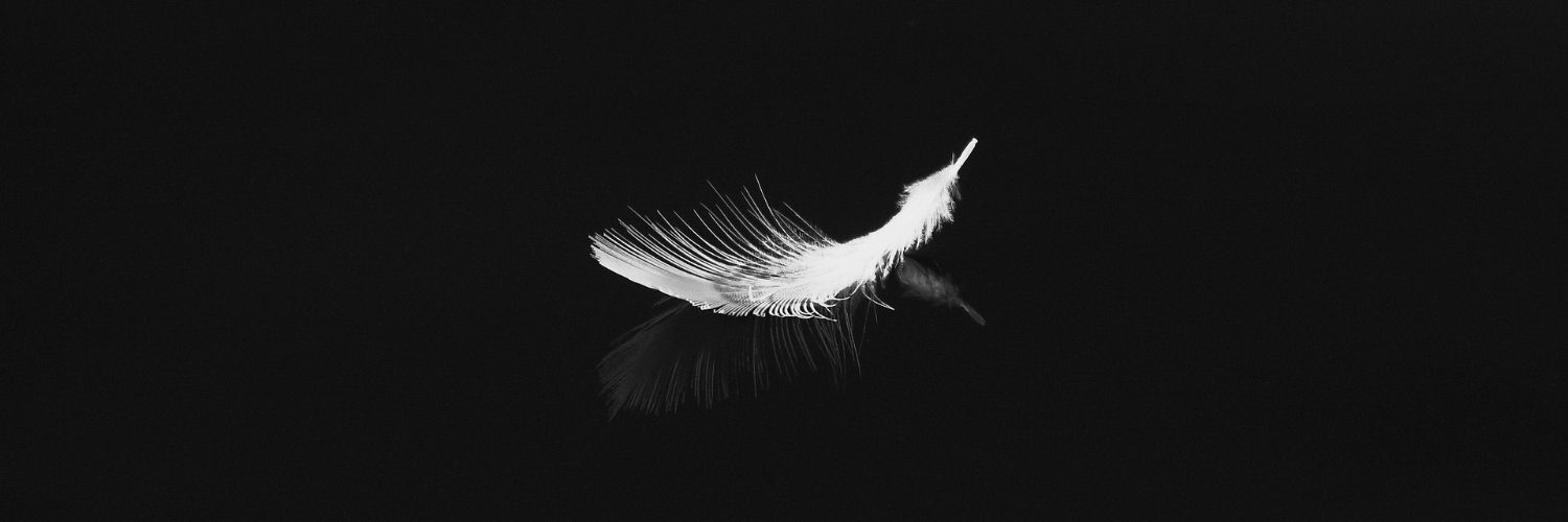 ElaaCy's profile banner image