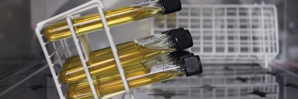 MmgUcd Profile Banner