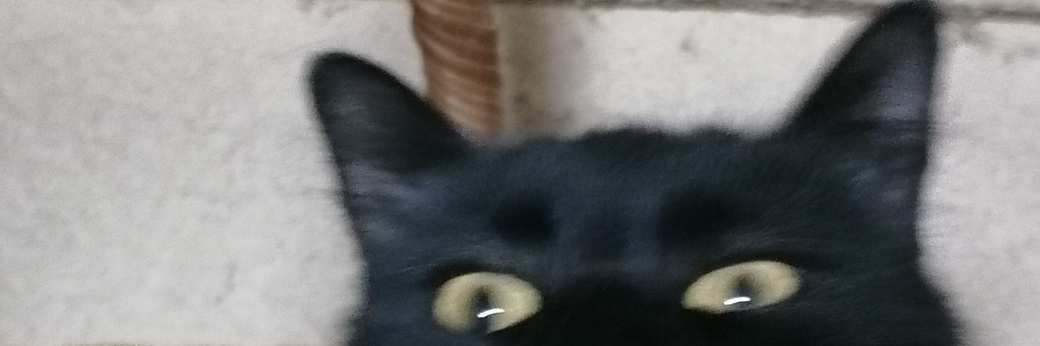 lauraitzeldb's profile banner image